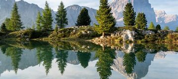 Mischfonds - B&auml;ume spiegeln sich in einem Bergsee