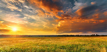 Über einer Wiese erzeugt die untergehende Sonne ein buntes Farbenspiel auf den Wolken.